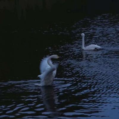 江南JNTY官网下载